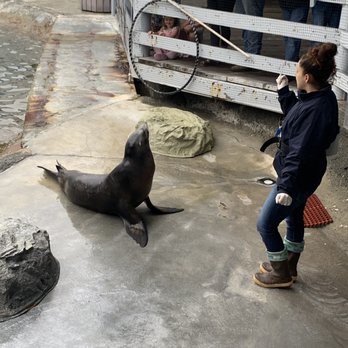 Ocean World - Entertaining us - Aquariums Near Me - Crescent City, California