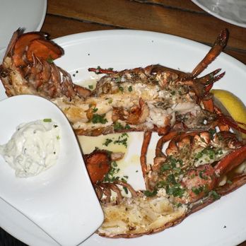 Joia Beach - Whole lobster - phenomenal! - Modern European Near Me - Miami, Florida