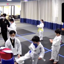 Taekwondo In Action - During the pandemic, they set up a Zoom meeting for you to watch your kids from afar.