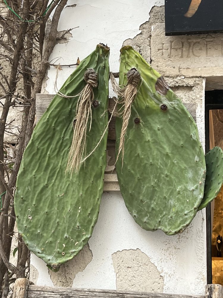 Mission Management Services - property management company in Tucson, AZ