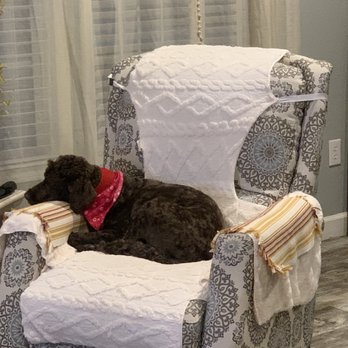 Graceful Pet Grooming - Pet Groomers Near Me - San Antonio, Texas Graceful Pet Grooming - Pet Groomers Near Me - San Antonio, Texas
