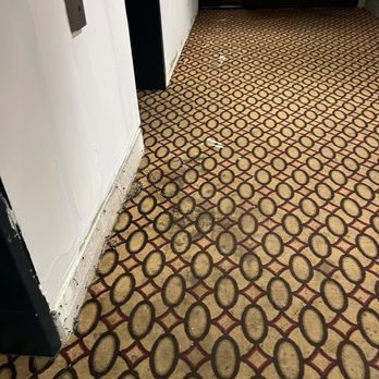 M Hotel Buffalo - Hotels Near Me - Buffalo, New York M Hotel Buffalo - Hotels Near Me - Buffalo, New York