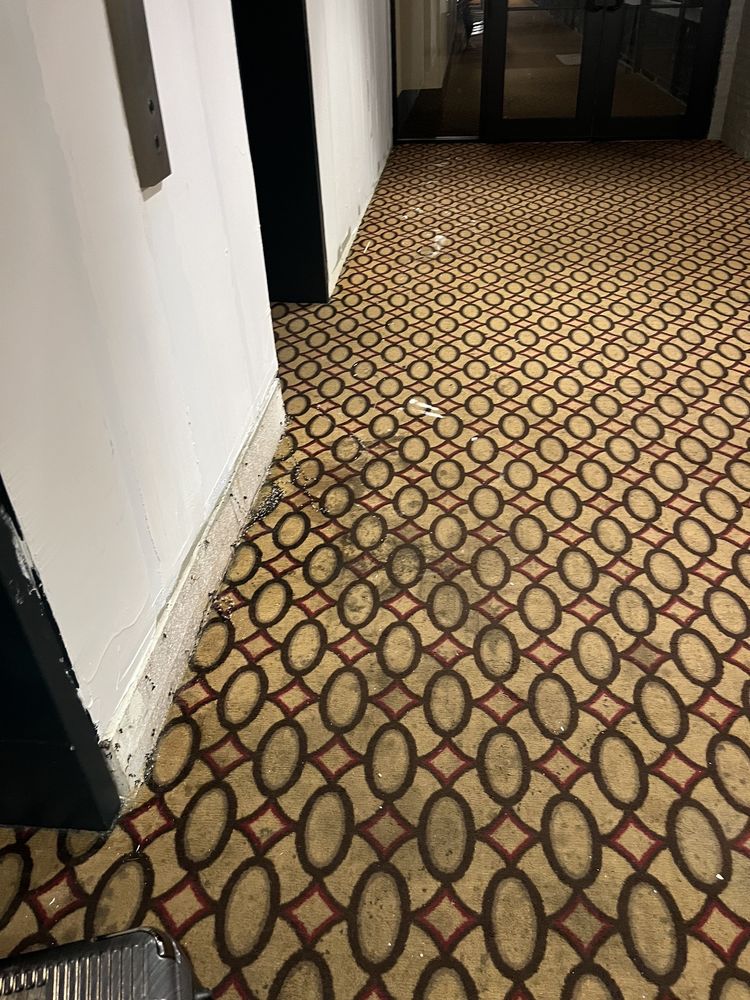 M HOTEL BUFFALO Updated February 2024 14 Photos & 11 Reviews 2040 Walden Ave, Cheektowaga