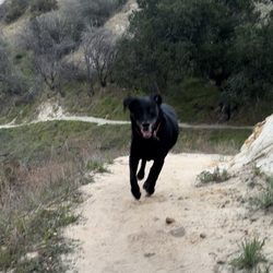 Rivendale Park And Open Space- Taylor Trailhead