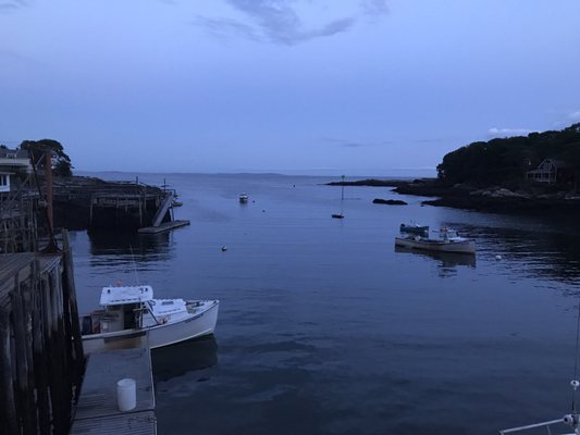 Shaw's Fish & Lobster Wharf by null