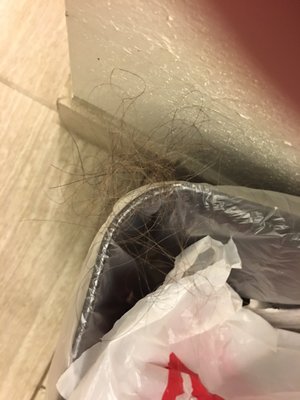 Holiday Inn Express Brentwood South - Franklin by null