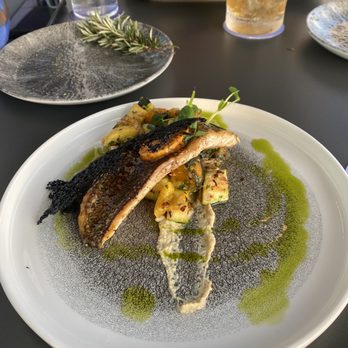 Moon's Daughter - Thompson San Antonio - Seared Black Bass - Mediterranean Near Me - San Antonio, Texas Moon's Daughter - Thompson San Antonio - Seared Black Bass - Mediterranean Near Me - San Antonio, Texas