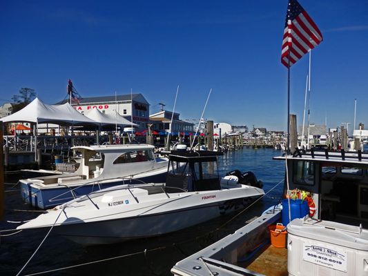 Moby's Lobster Deck by null