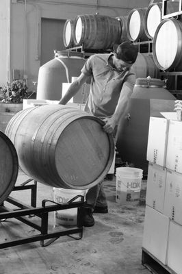 Madson Wines by null