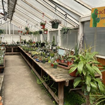 Encinal Nursery - Nurseries & Gardening Near Me - Alameda, California