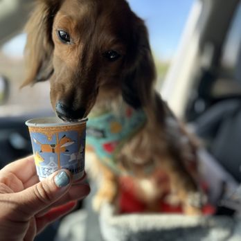 Foxtail Coffee - Talk about good day to come and try out the coffee. It's really good. It's strong smooth and the pup cup cups are so adorable. - Coffee & Tea Near Me - Las Vegas, Nevada Foxtail Coffee - Talk about good day to come and try out the coffee. It's really good. It's strong smooth and the pup cup cups are so adorable. - Coffee & Tea Near Me - Las Vegas, Nevada