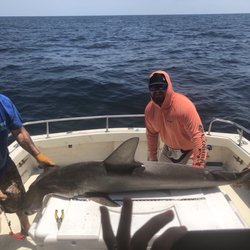 Aqua Safari Charters - The deckhand Donny was AMAZING! He was informative, approachable & worked hard to help pull in the catch and keep the lines and bait ready.