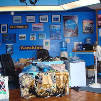 Snorkel Bob's Oahu - Tours Near Me - Honolulu, Hawaii