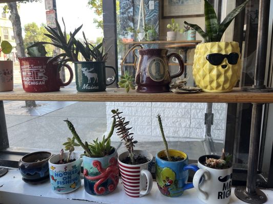 Solid Ground Cafe by null