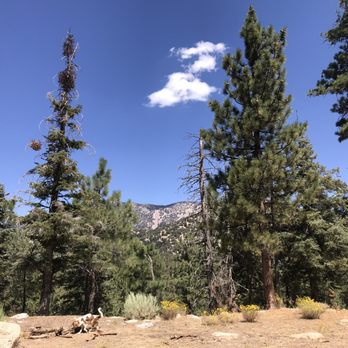 Heart Bar Campground - View from our campsite. Glorious - Campgrounds Near Me - San Bernardino, California Heart Bar Campground - View from our campsite. Glorious - Campgrounds Near Me - San Bernardino, California