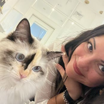Cat Cafe MOFF Pearlridge Center - Cat selfie - Themed Cafes Near Me - Aiea, Hawaii Cat Cafe MOFF Pearlridge Center - Cat selfie - Themed Cafes Near Me - Aiea, Hawaii
