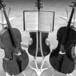 Private Cello or Violin Lessons