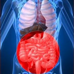 Hudson River Gastroenterology