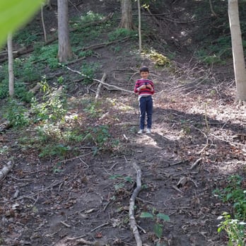 Swallow Cliff Woods - Hiking - Hiking Near Me - Palos Hills, Illinois Swallow Cliff Woods - Hiking - Hiking Near Me - Palos Hills, Illinois