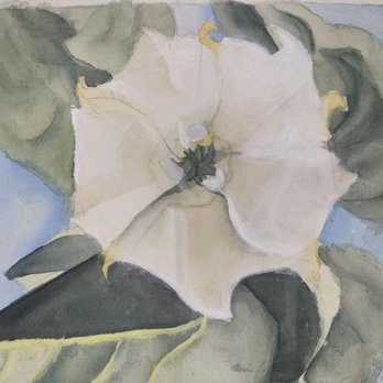Art With Larisse - Art Classes Near Me - Bonita, California Art With Larisse - Art Classes Near Me - Bonita, California