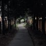 Photo of Highlands Park