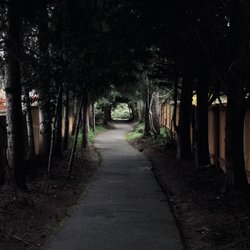 Highlands Park - What the trails look like walking from this park to another nearby