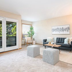 Zable Staging