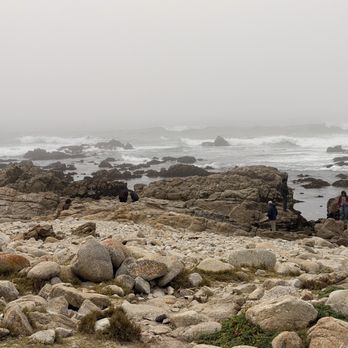 17-Mile Drive Scenic Tour - Local Flavor Near Me 17-Mile Drive Scenic Tour - Local Flavor Near Me