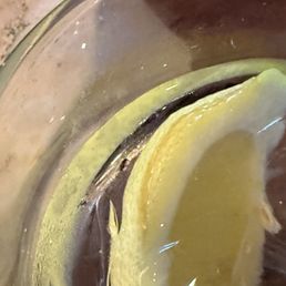 It's good. This is a glass of water with a gnat in it