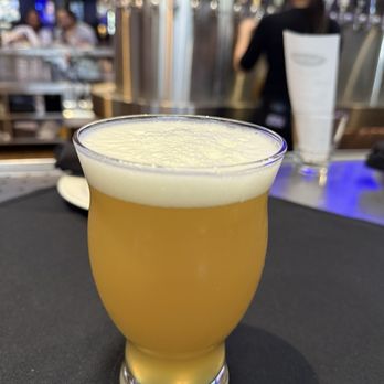 Yard House - YH Hazy IPA - Bars Near Me - Roseville, California Yard House - YH Hazy IPA - Bars Near Me - Roseville, California
