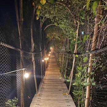 Kin Toh - Yucatan Near Me - Tulum, ROO