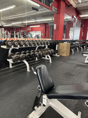 STRONG & SHAPELY GYM - Updated January 2026 - 59 Photos & 56 Reviews