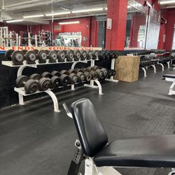 Strong & Shapely Gym