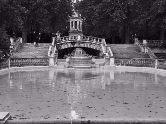 Darcy Garden by null