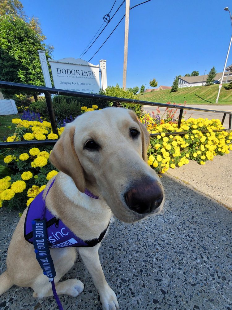 Dodge Park Rest Home - grief counselor in Worcester, MA