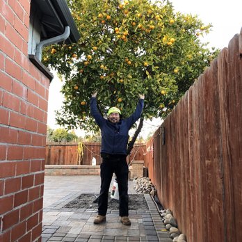 Nine Orange Landscaping - Landscaping Near Me Nine Orange Landscaping - Landscaping Near Me
