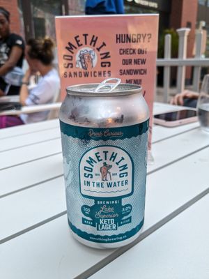 Something in the Water by null