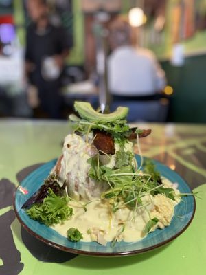 TibbittsFernHill by null