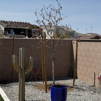 Moon Valley Nurseries - Nurseries & Gardening Near Me - Mesa, Arizona