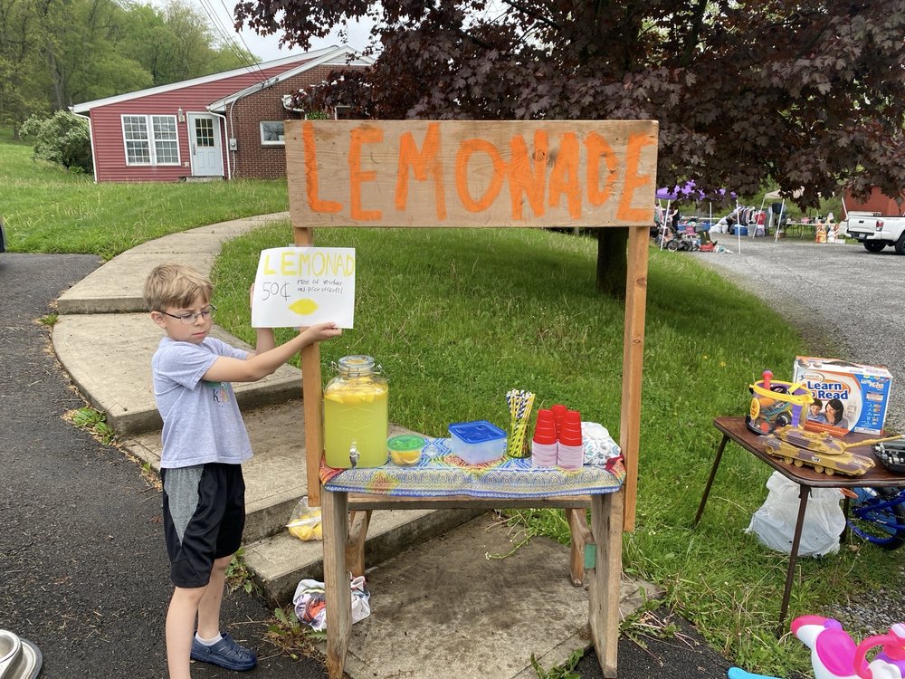 Nics lemonade Logo
