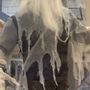 Spirit Halloween
