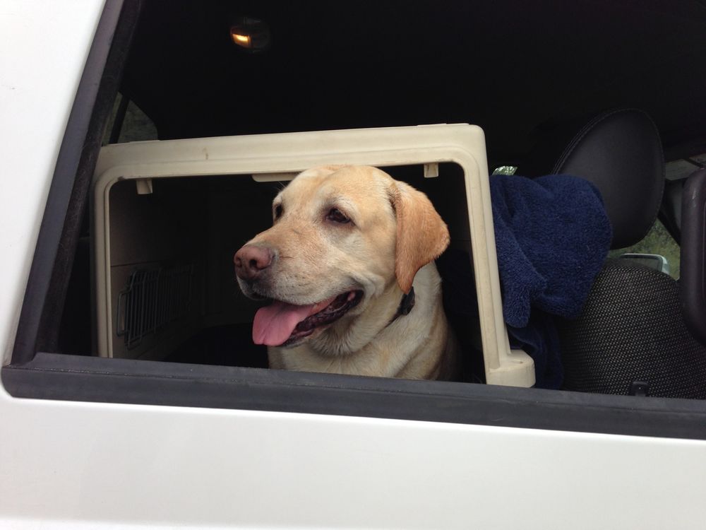 Slide of Brad's Quality Roofing