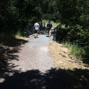 Martin Canyon Creek Trail - the trail is mostly shaded, with lots of natural scenery and bridges! - Hiking Near Me - Dublin, California