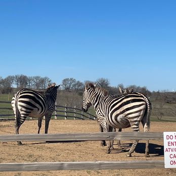 Blue Hills Ranch - Hotels Near Me - McGregor, Texas