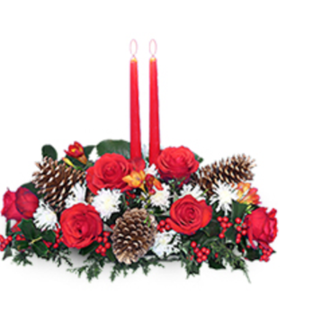 Mayfield Flowers - Florists Near Me - Edmonton, Alberta Mayfield Flowers - Florists Near Me - Edmonton, Alberta