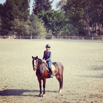 Horse and Rider Image