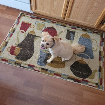 Nichole's Loving Cuts - After - Pet Groomers Near Me - Murrieta, California Nichole's Loving Cuts - After - Pet Groomers Near Me - Murrieta, California