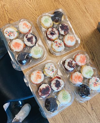 Tonnie's Minis by null