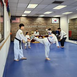 TKS Martial Arts Center - Awesome young athletes at the 46th Promotion Test