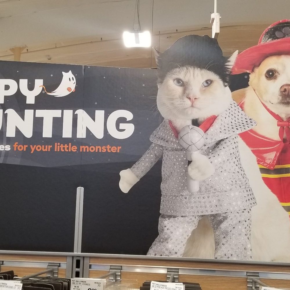 PetSmart - 10/3/22 - Pet Stores Near Me - Vienna, Virginia PetSmart - 10/3/22 - Pet Stores Near Me - Vienna, Virginia